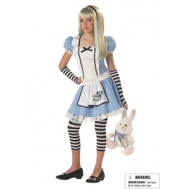 Alice Fairytale Junior Teen Holiday Party Costume