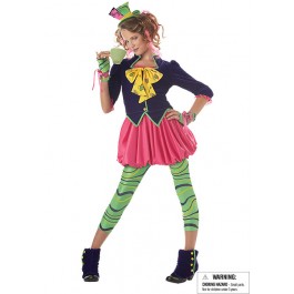 The Mad Hatter Fairytale Junior Teen Party Costume