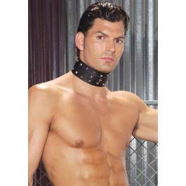 Leather Collar With Studs And O Ring