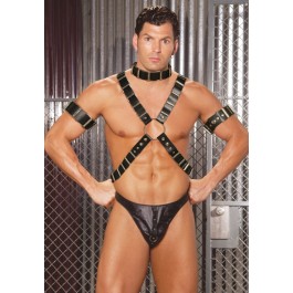 Men's 4 Piece Adjustable Harness Set