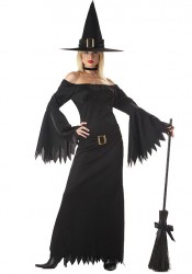 Elegant Witch Plus Size Costume